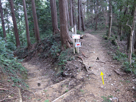 20191017hike (174)